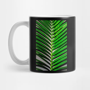 palm leaves photography Mug